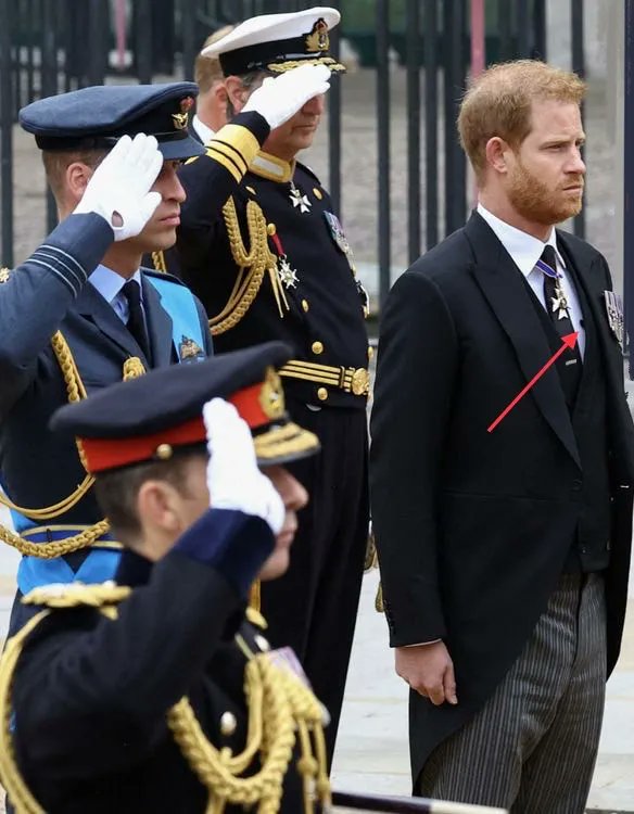 𝕋𝕙𝕖 𝕎𝕒𝕟𝕥𝕠𝕟 𝕎𝕖𝕟𝕔𝕙 on Twitter "Looks like Prince Harry was wearing a mic