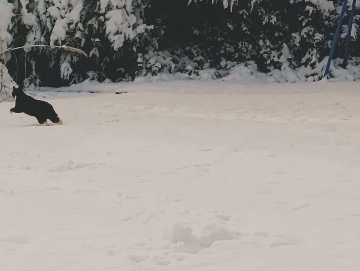 Dr Janette Leaf 🪲 🐝👻 🌊👩‍🦰 tweet media