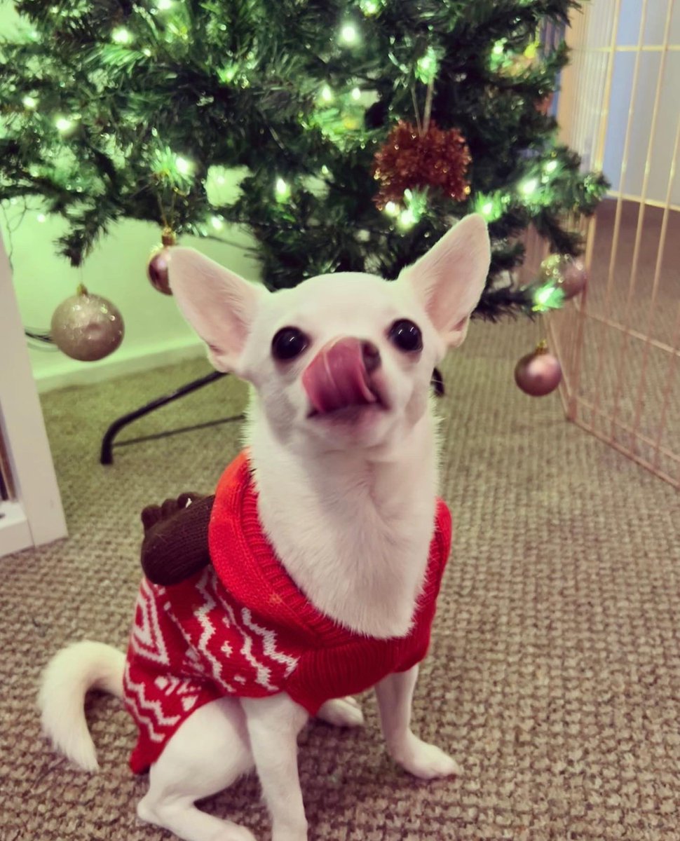 LauraHaythornthwaite tweet media