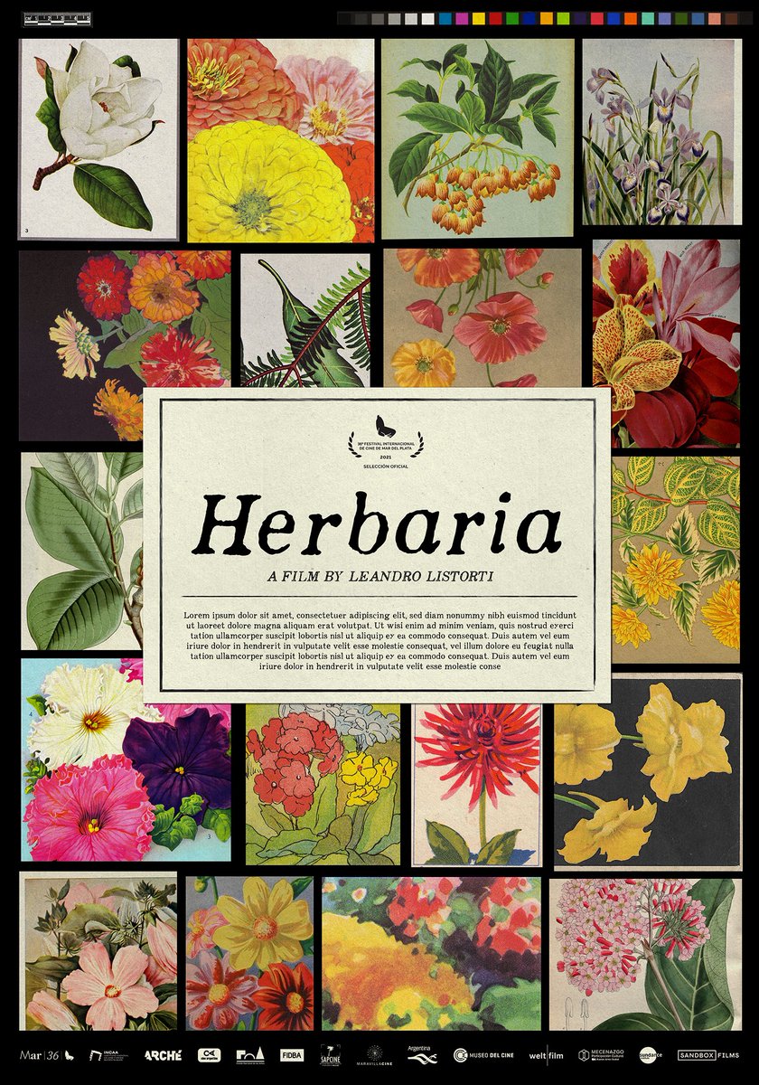 L1st0rt1's tweet photo. Les compartimos las distintas versiones previas del afiche de HERBARIA, por #MarceloGranero
Sábados a las 18:00 hs. en el @museomalba y también en el @cine.gaumont 12:40 hs. y en @espacios.incaa Orán 20:00 hs.
@maravillacine_ @santadistribucion  @kinorebelde
#prueba2 #filmposter https://t.co/nczTSZZoML
