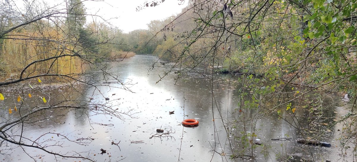 In a week of tragic deaths of four young boys falling through ice it takes a metality of incredible callousness to throw a boyancy aid onto the #ice on #FoxesForest. People truly are idiots.