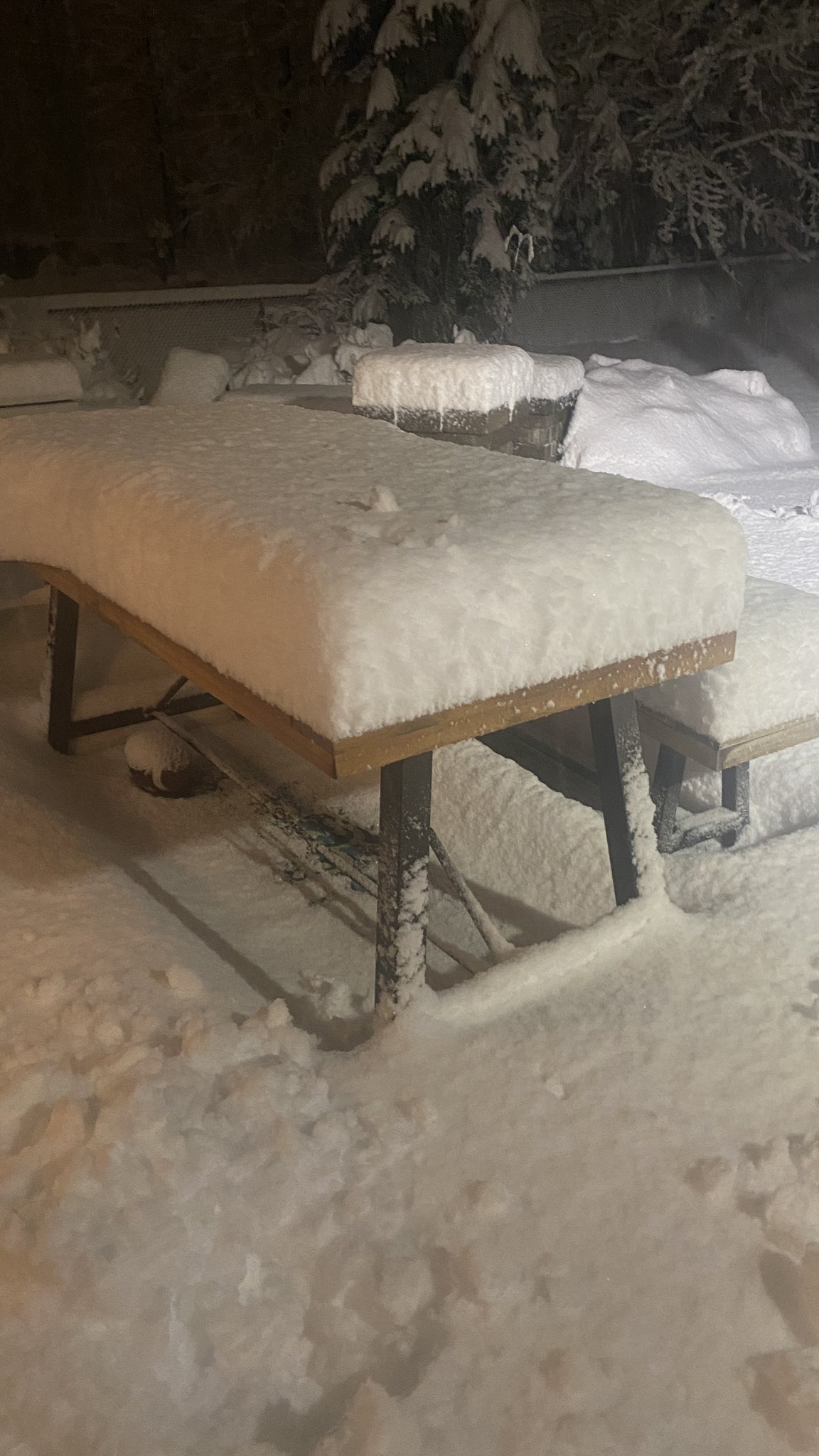 Patrick Hammer on Twitter "630am update 8". billsmafia PSchrags