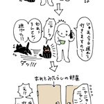 ネコはネコの味方をする？!人間の言葉がちゃんとわかっている!