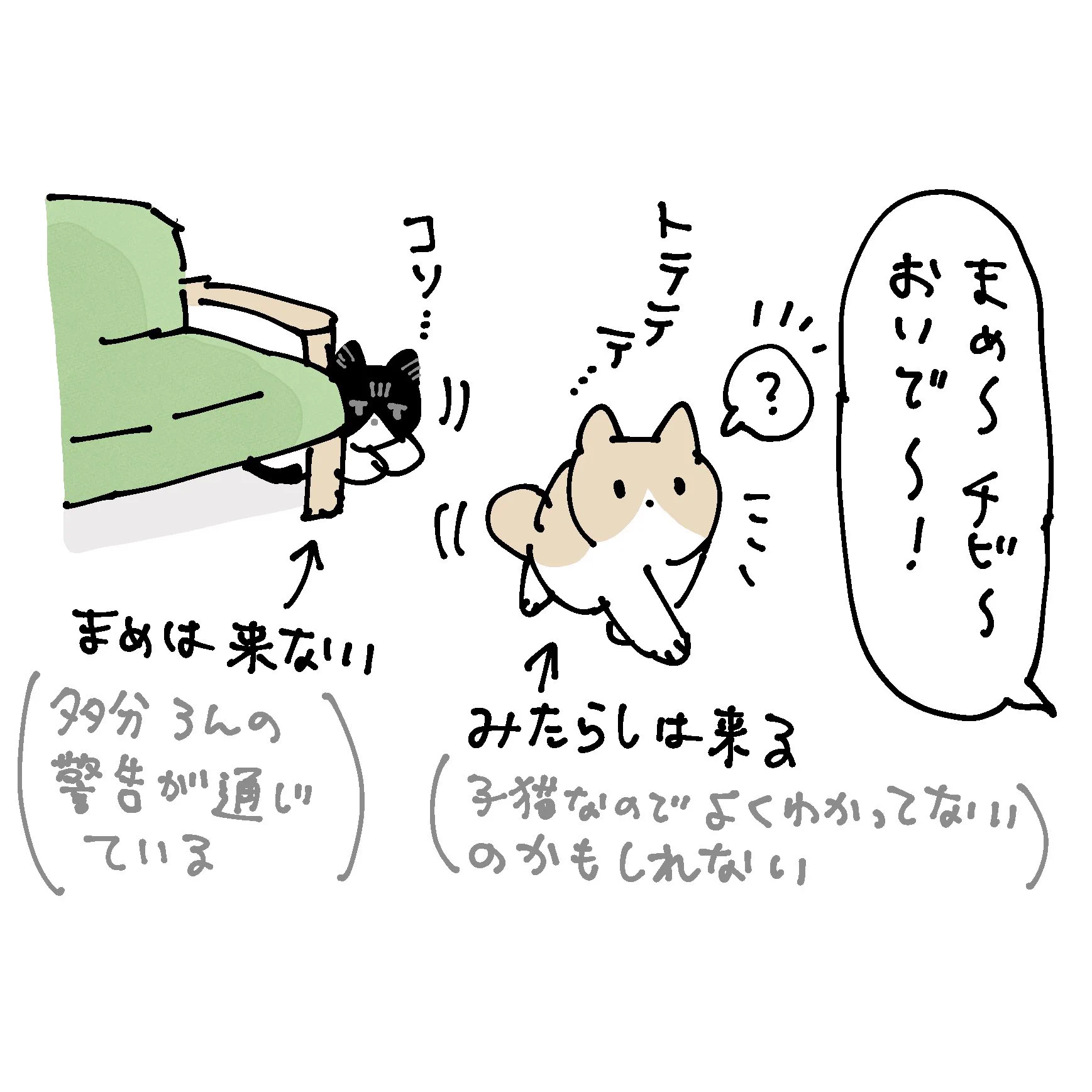 ネコはネコの味方をする？！人間の言葉がちゃんとわかっている！