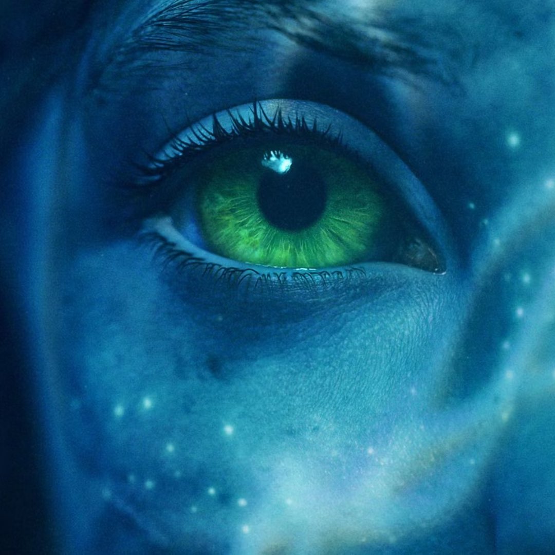 maratonize's tweet photo. “Avatar 2: O Caminho da Água” não é apenas um filme, é a experiência mais bonita e bem feita que eu já assisti 🗣️ https://t.co/TNOZ7UITpX