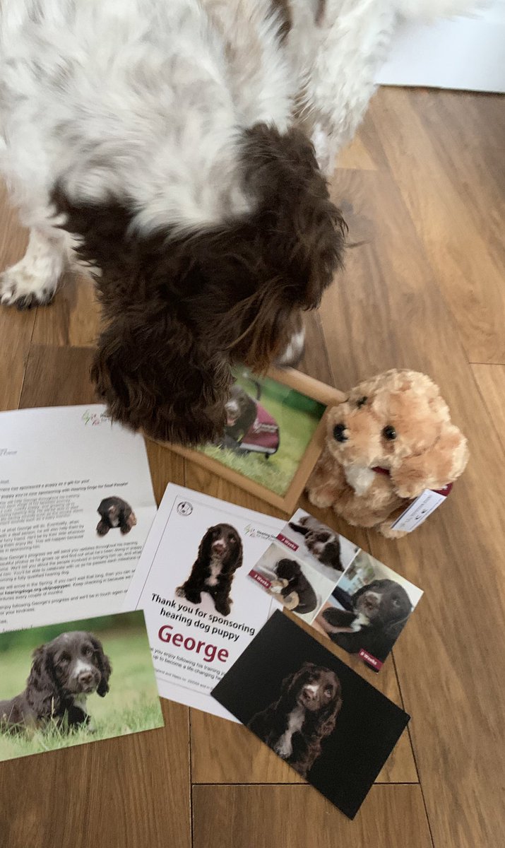 Katherine Durrans tweet media