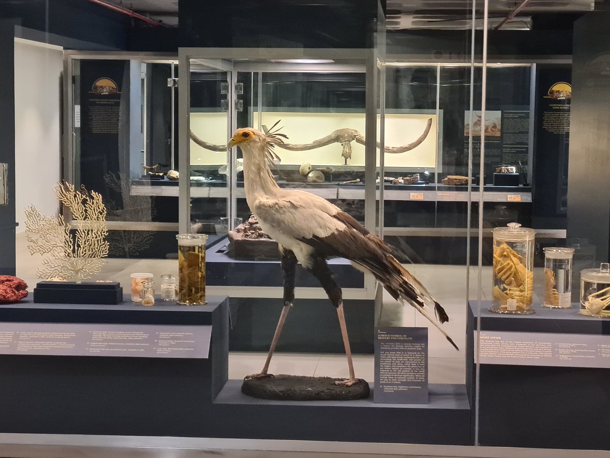 Wayne Florence tweet media