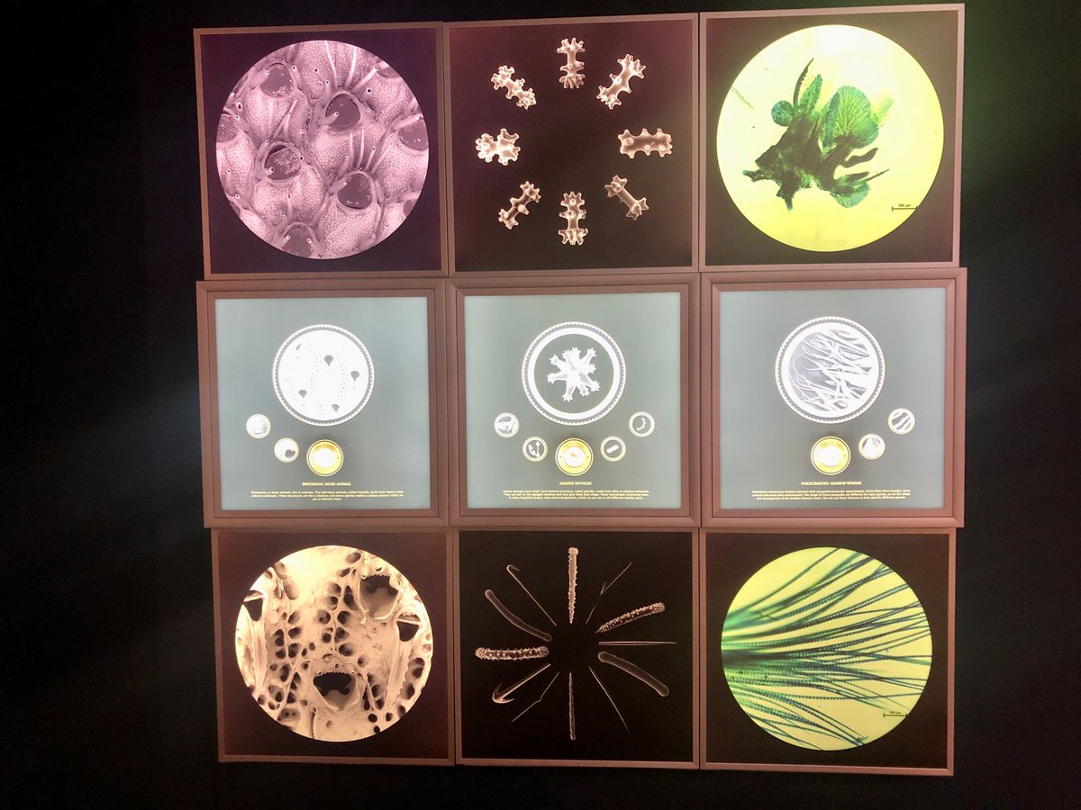 Wayne Florence tweet media