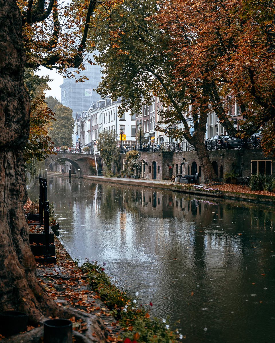 utrecht, the netherlands ⋅ ph. utrechtalive