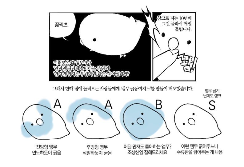 앵무와 함께하면 매일이 즐거워요