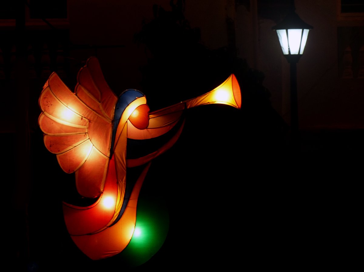 Hastings Philharmonic Choir tweet media