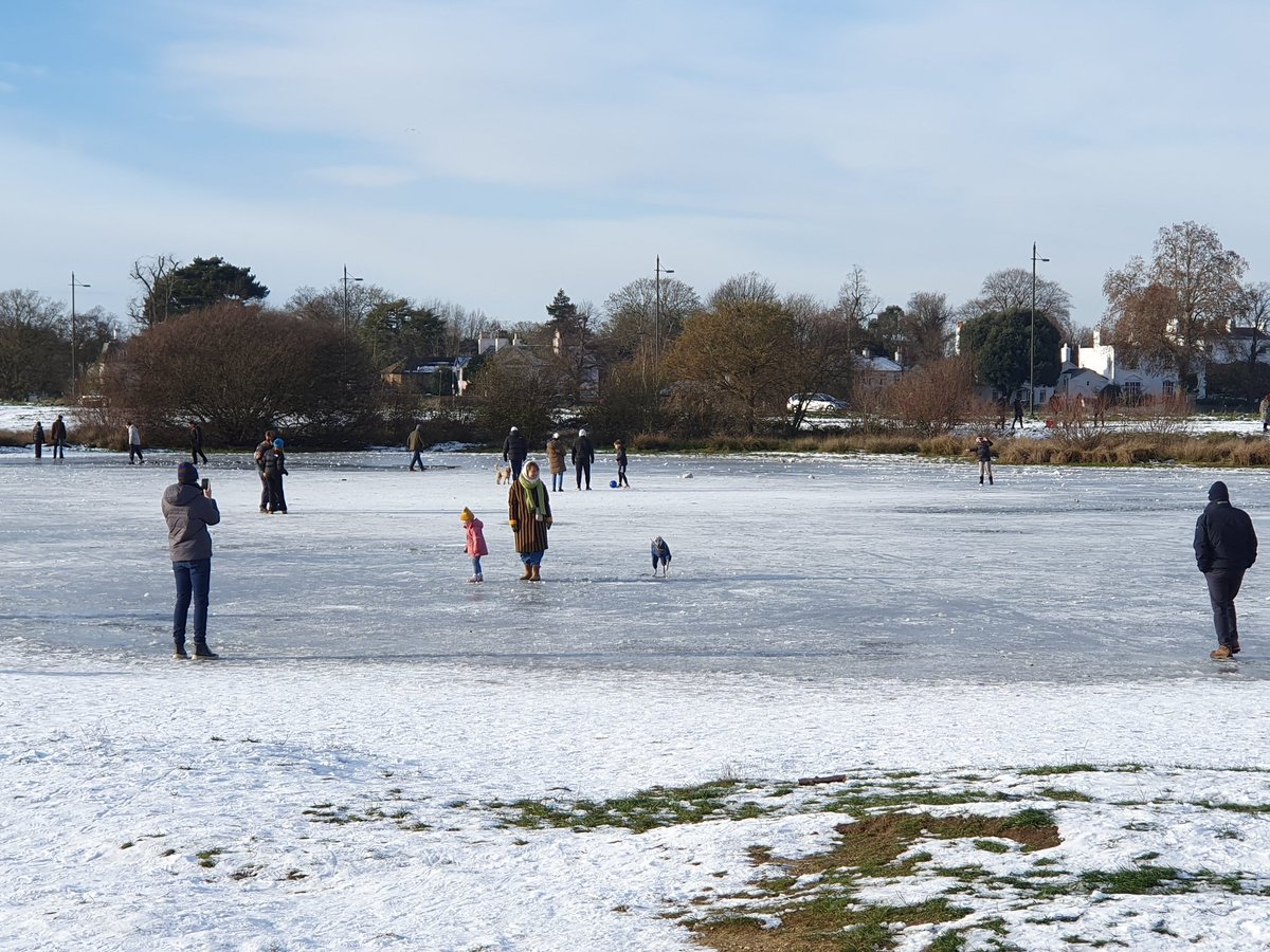 Arpad Bear tweet media