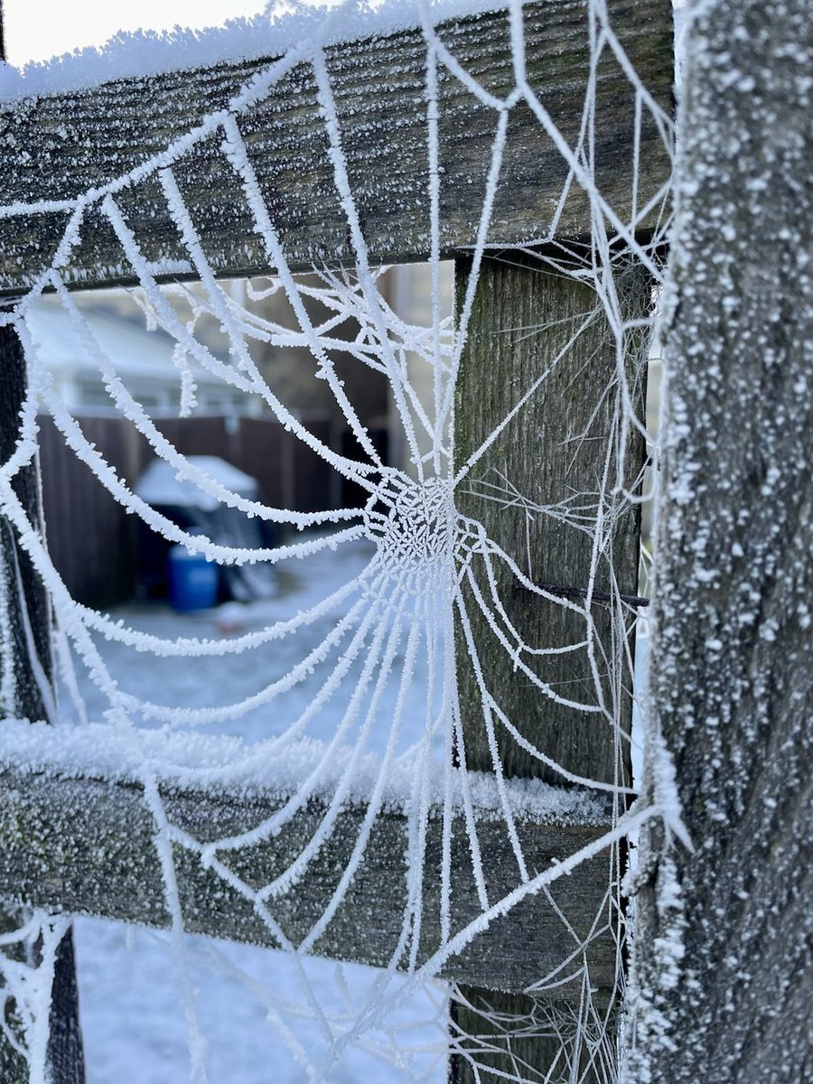 HowDoYorkshire's tweet photo. It's been quite the week for weather but relatively easy on the eye, it has to be said! We'd love to see your Wintery pics from around the 'Shire.
Thanks to Lucy Barker for sending us these shots ❄️
Thornton, Bradford.
#WinterWonderland #HappyMidwinter #StayCosyBradford https://t.co/TgV7YtyUVu