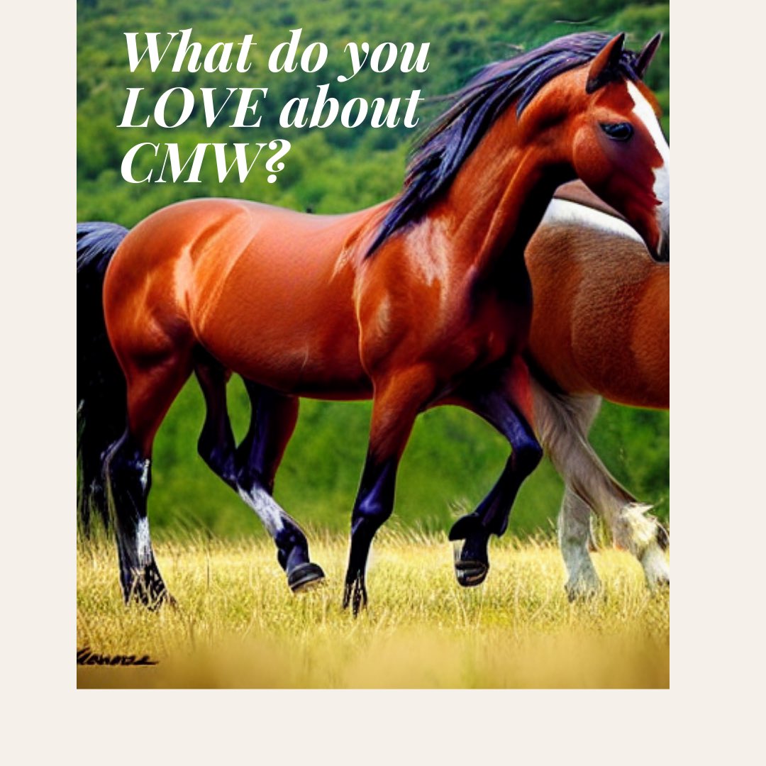 CMW PTSO tweet media