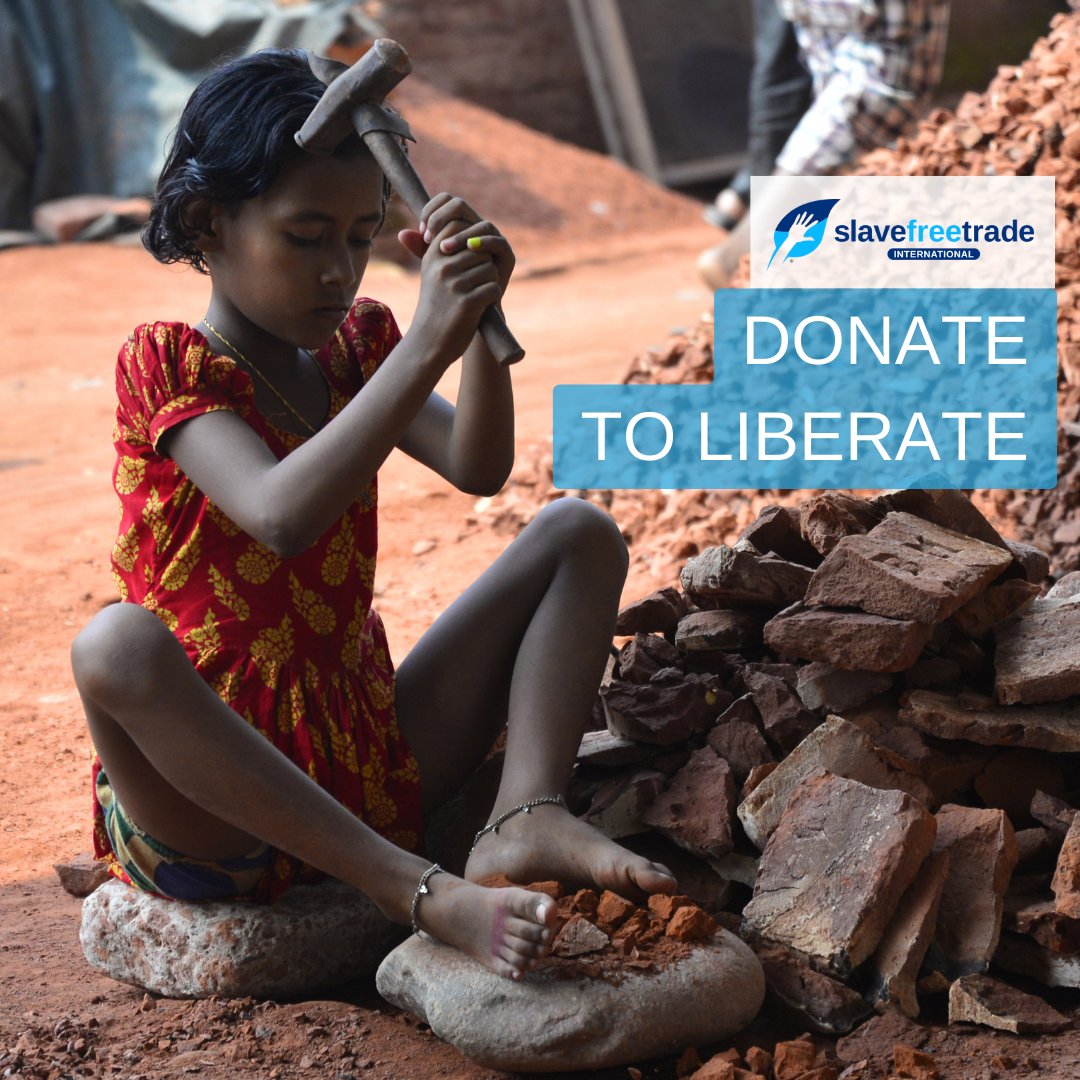 slavefreetrade🇨🇭 tweet media