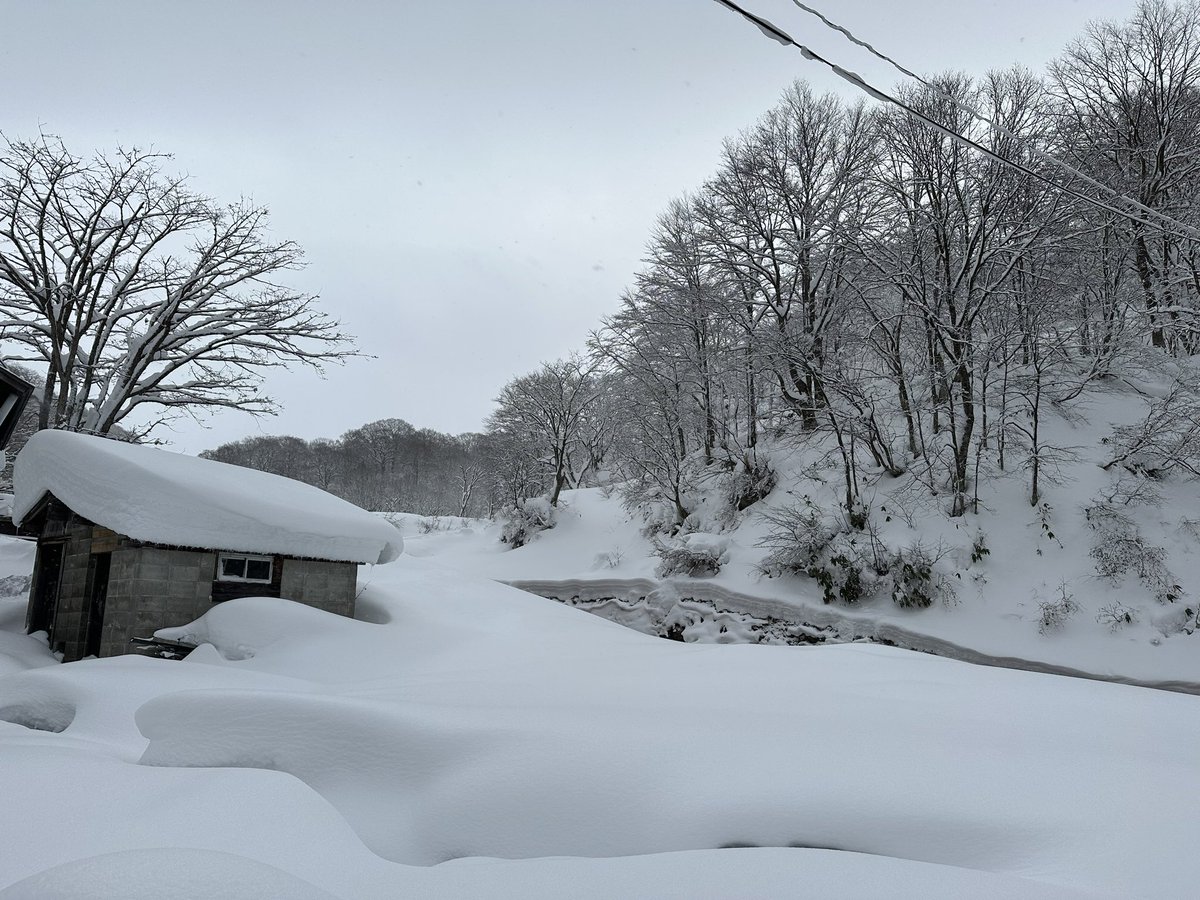 crazyholiday's tweet photo. 温泉旅行
 #温泉
 #温泉旅行
 #乳頭温泉
 #秋田
 #雪 https://t.co/6NZSY86V9z
