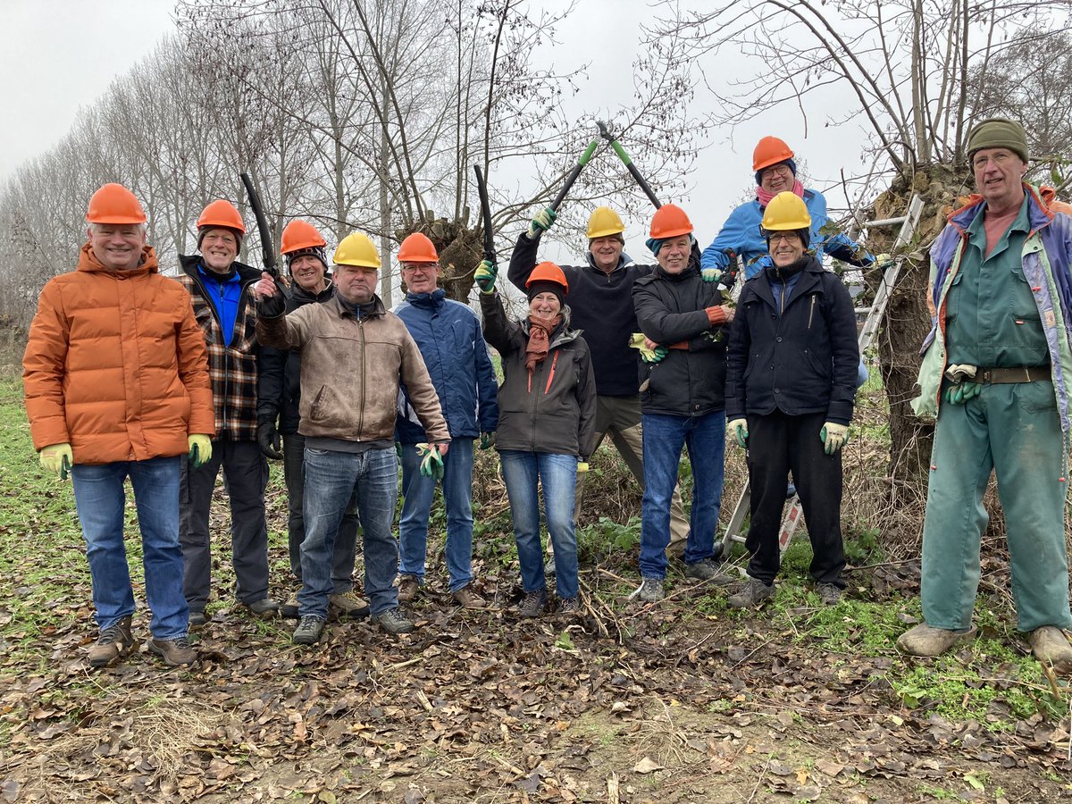 Dagje knotten met vrijwillers van <a href="/SLGelderland/">Stichting Landschapsbeheer Gelderland</a> in Binnenveld met oude zaalvoetballers van de Hakkers.