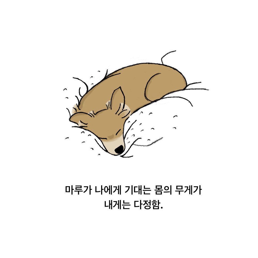 marusasil's tweet photo. 마루가, 나에게. https://t.co/PR3XqFYVfu