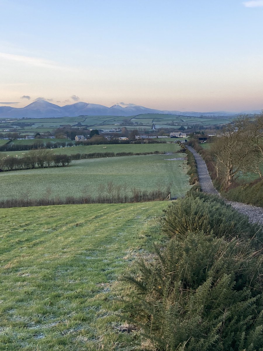 ballynoeracing's tweet photo. A cold but pleasant morning on top of Kearney Hill with Slieve Donard in the distance, thankfully the new carpet surface is allowing us to continue exercising our horses. Lovely to have so many owners in for a Xmas get together https://t.co/vwqWhE0kKa