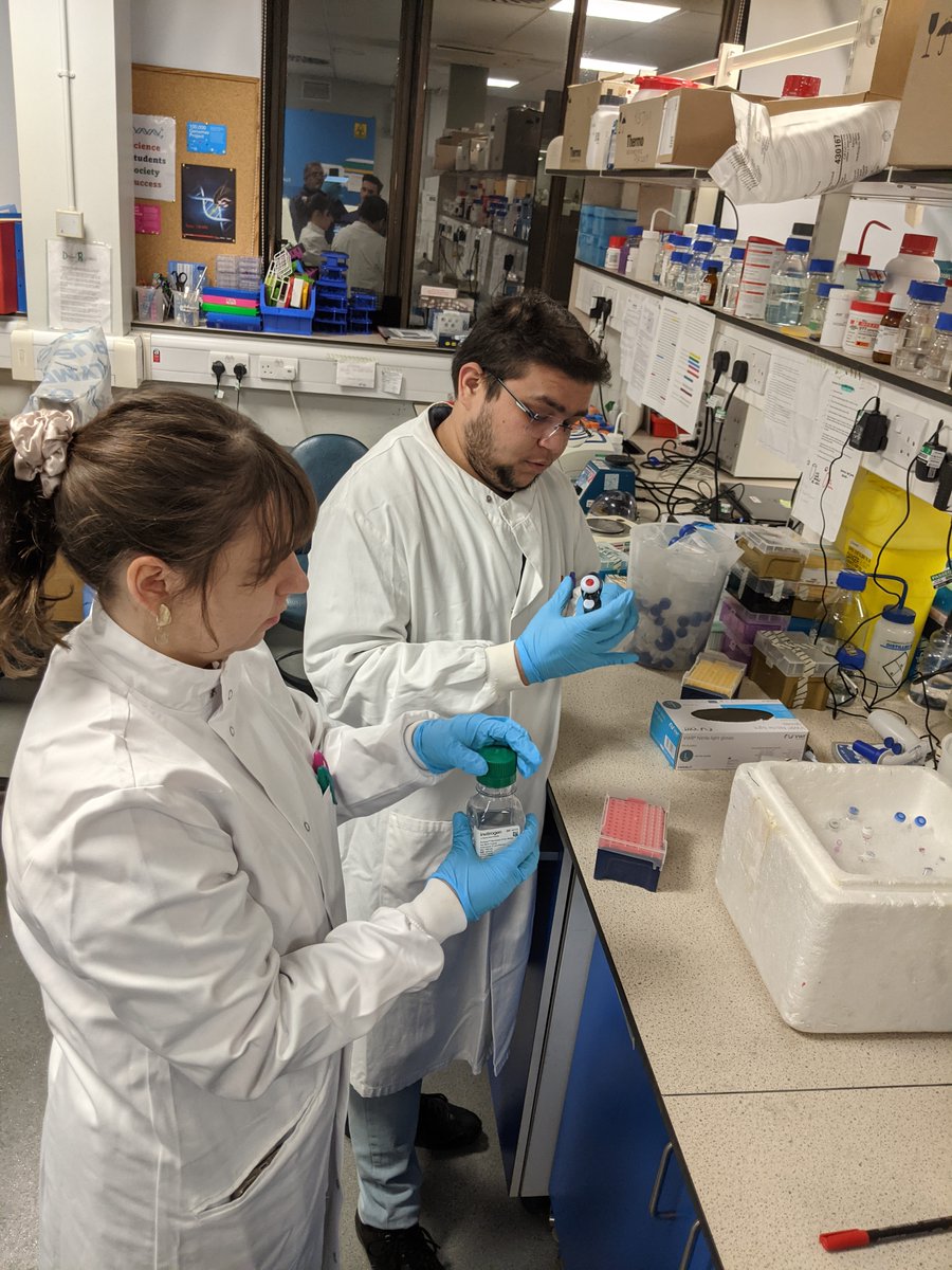 SnipSnipDNA's tweet image. Julia and @khan_saahaab demonstrating the PCR chain reaction and agarose gel-electrophoresis at @UniWestminster Genome Engineering Lab during a live stream #CRISPR event organised by @gene_editors yesterday. A very successful student/staff collab event!
#dnascience #biotechnology