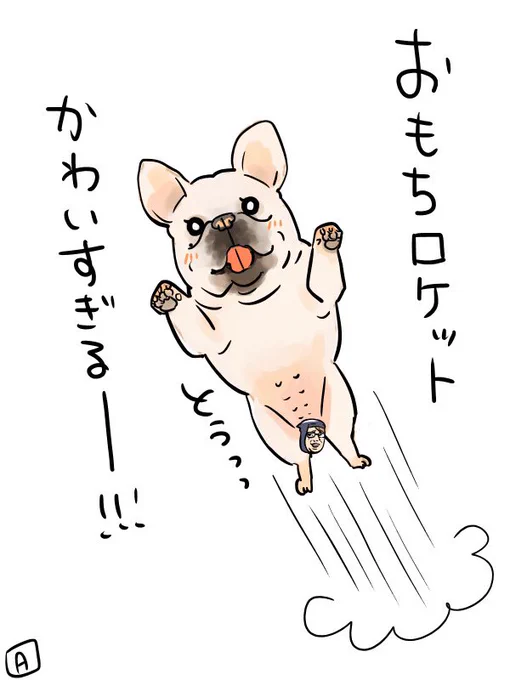 🐶🚀 