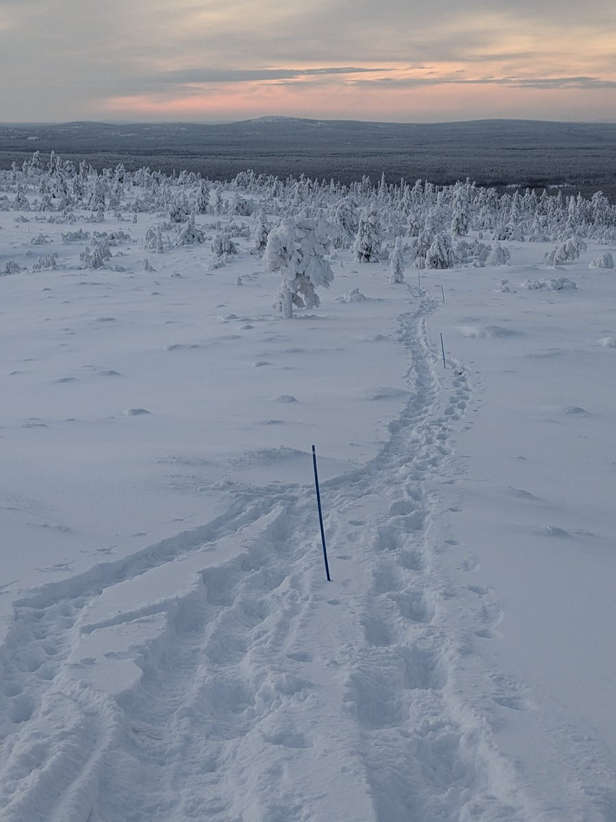 EscapeToLapland's tweet photo. Working from home over Christmas? Why not do it from #Lapland in one of our cottages with fast WiFi?
#Finland #Ylläs #flytoKittiläorRovaniemi
#huskies #snowmobiles #ski #snowboard #santa #sledging https://t.co/P7YZA5EX9D