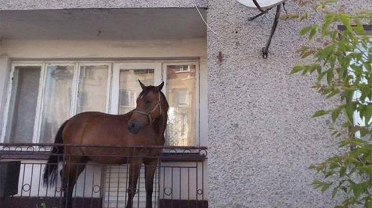 - nereye sığdıracaz bu kadar eşyayı ya + madem öyle at balkona gitsin abi