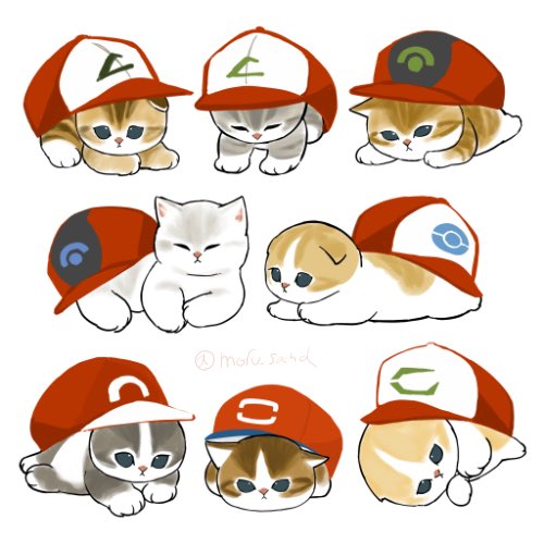 hat no humans cat baseball cap white background simple background animal focus  illustration images