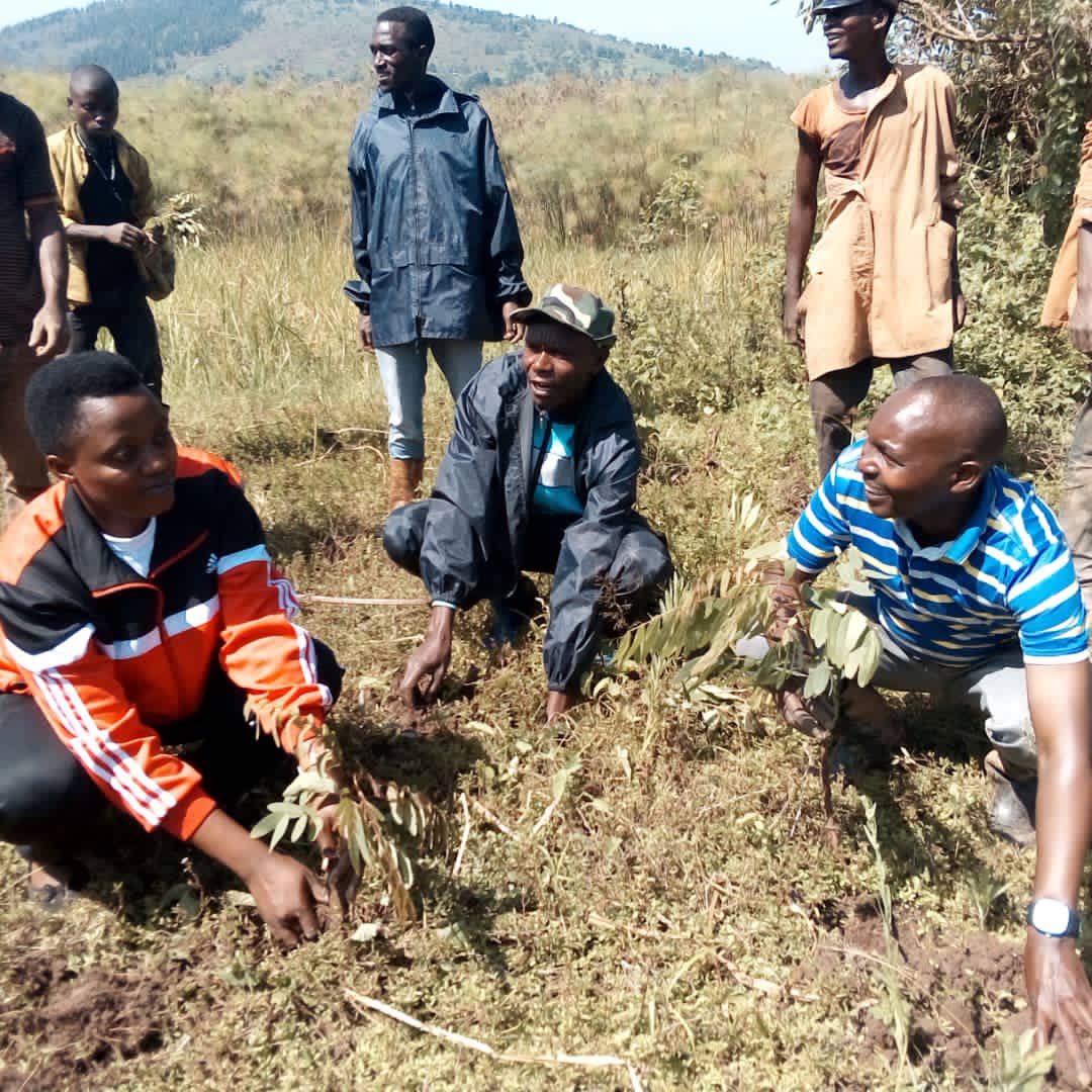 PButanyerera's tweet photo. A #Bwambarangwe les activités de développement de ce samedi, se sont caractérisées par la protection de la zone tampon du lac #Kanzigiri où jusqu'à 3500 arbres ont été plantés sur la colline #Minyago. Ces activités ont vu la participat° de l'administrateur #Mukakabanda Bérnice. https://t.co/mYMZCLfCw1