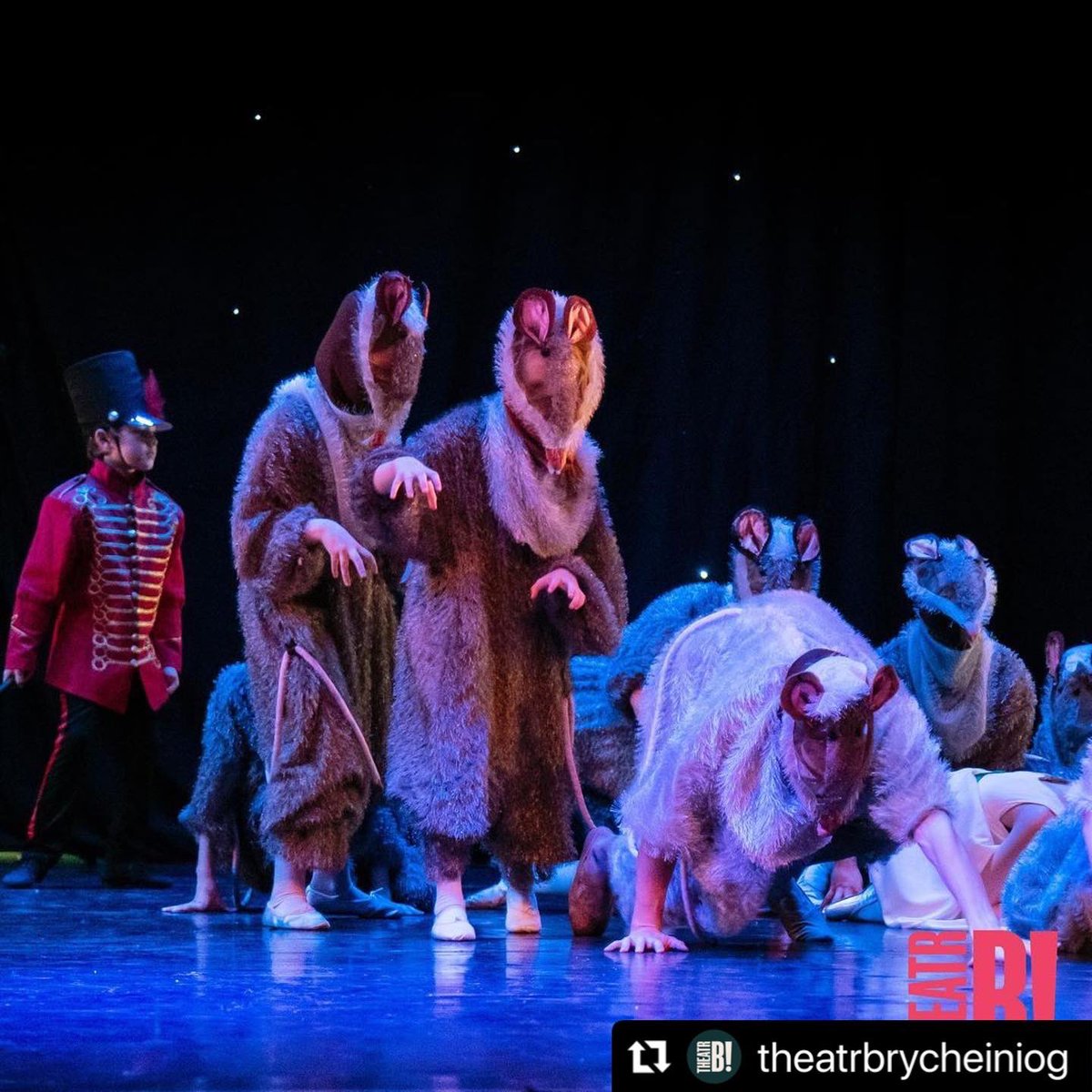 The Welsh Chamber Orchestra tweet media