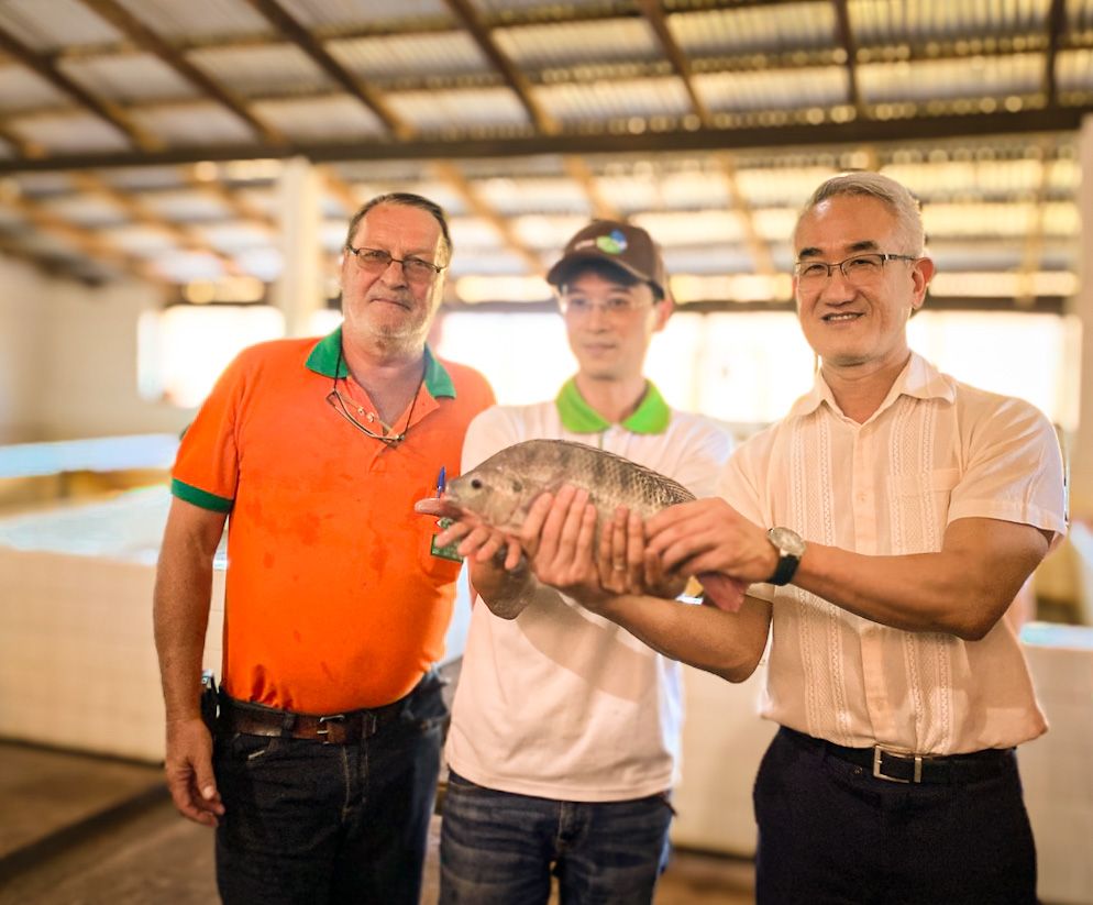 Nahem_360's tweet photo. #17Dic Imágenes de mi visita a la granja #EcoPez en #Paraguarí, emprendimiento de #acuicultura (cultivo de peces) #pacú y #surubí con apoyo de la @taiwanicdfpy (Misión Técnica de #Taiwán 🇹🇼) impulsando realmente el desarrollo productivo e integral del #Paraguay 🇵🇾. https://t.co/jp4XCiGNXz