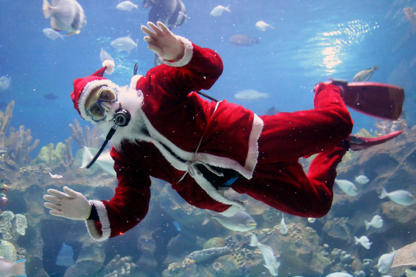 Aquatech_D_C's tweet photo. Trying to find the ideal presents? - https://t.co/s4jqalDUws https://t.co/jIds8Jx8n4