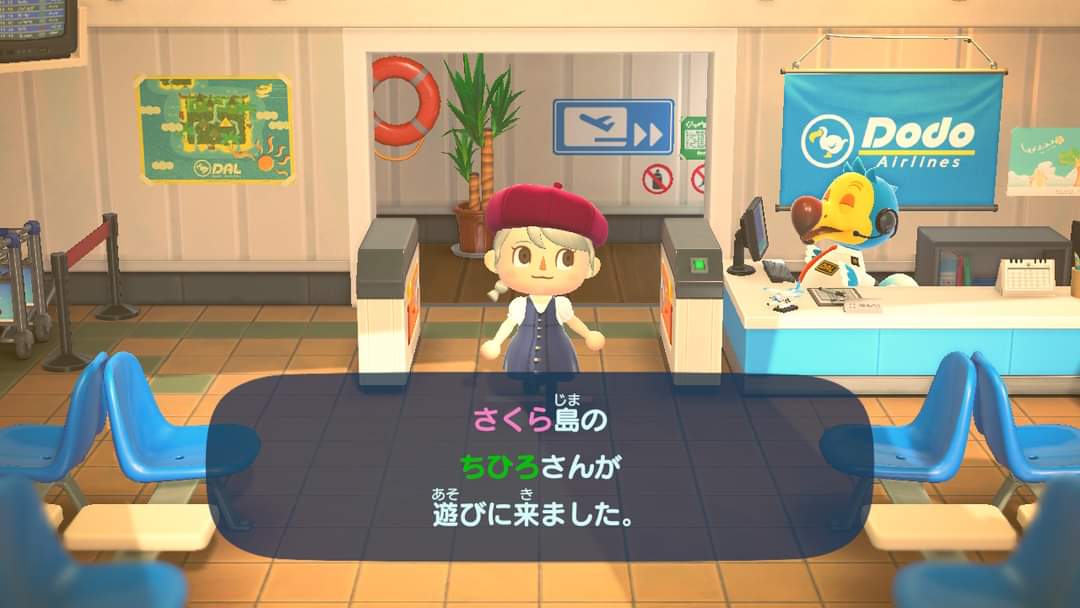 サツキの🏝 tweet media