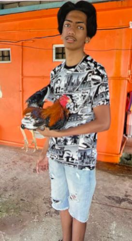 TPSOperations's tweet photo. MISSING: Bisram Roop, 14, last seen Wednesday, December 14, 2022, at 2am, in the Finch Avenue West and Kipling Avenue area, @TPS23Div. Described as 5'10", slim build, black hair, brown eyes. News release: https://t.co/1pBPB3p4Yk #GO2460252 ^CdK https://t.co/TUuRSU9kzV