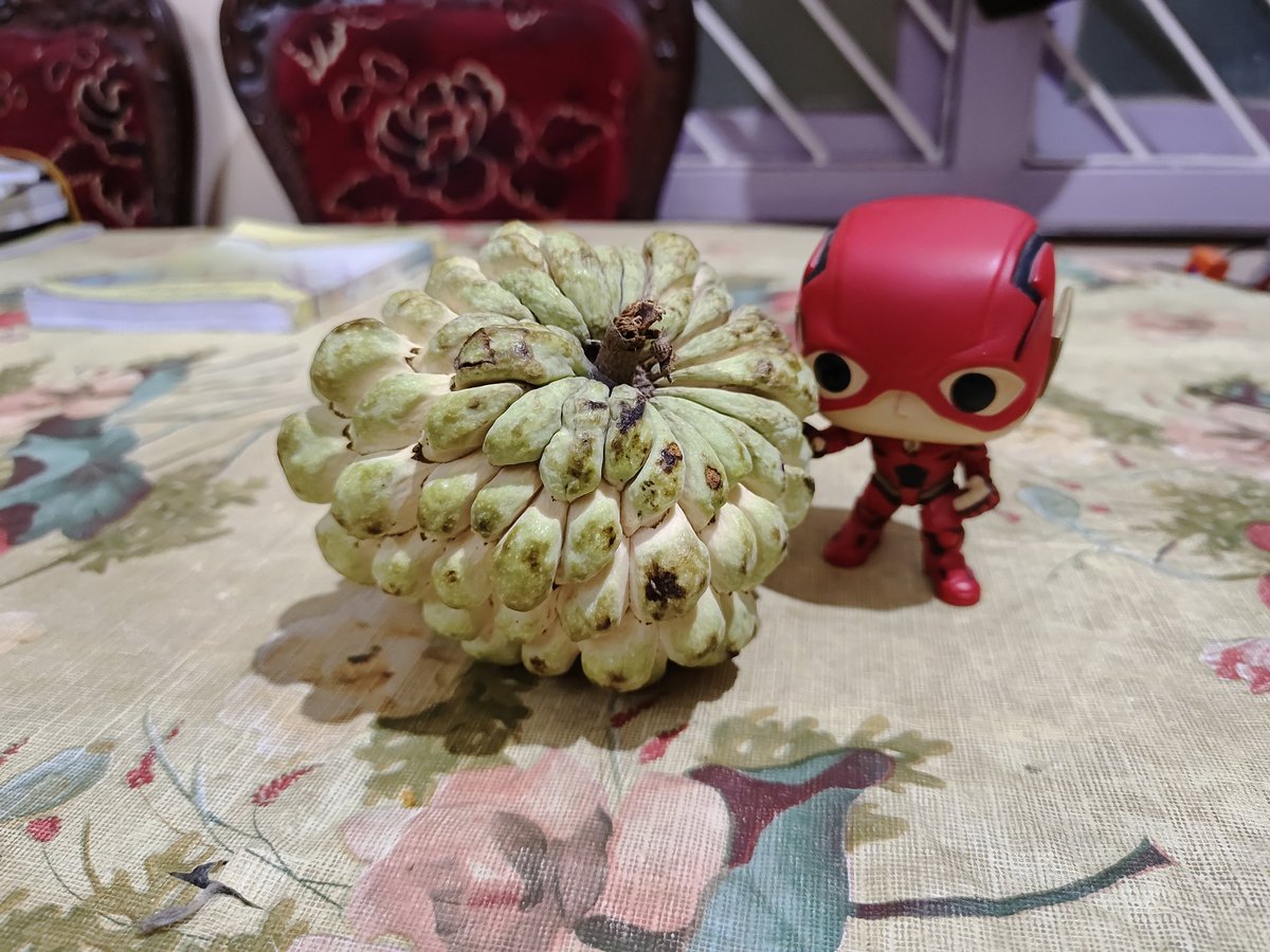 deadmuffn's tweet photo. @AndrewChickenYT Big ass devil fruit ( flash pop not included) https://t.co/r37wSbMdXh