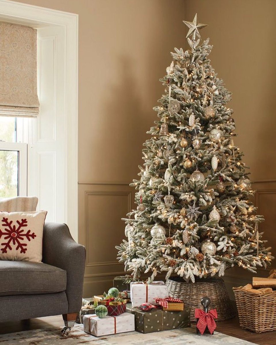 We absolutely love this Christmas décor 🎄

Spinifex (ow.ly/xqbg50LZqXx) will provide an elegant touch to accompany your decorations this holiday season.  

📸: @housebythewhitethorns