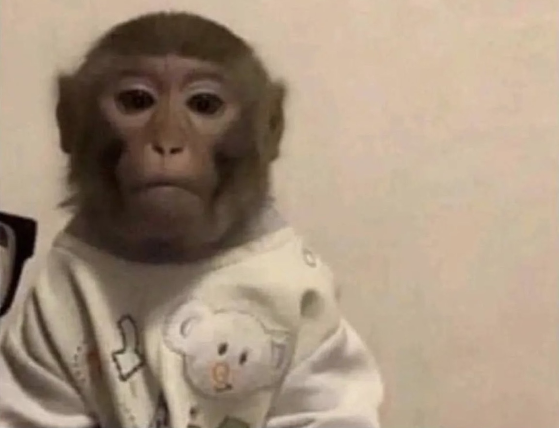 Yo: Porfin ya son vacaciones, día libre, podré levantarme hasta tarde

*Se levanta a las 7 am sin alarma*