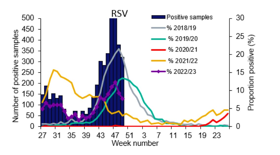 Departments obviously concerned about impact of public reaction to the iGAS data but there is some slightly more positive news on RSV 

Latest data from <a href="/UKHSA/">UK Health Security Agency</a>
assets.publishing.service.gov.uk/government/upl…

RSV falling for two consecutive weeks. Still high patient load but perhaps peak has passed.