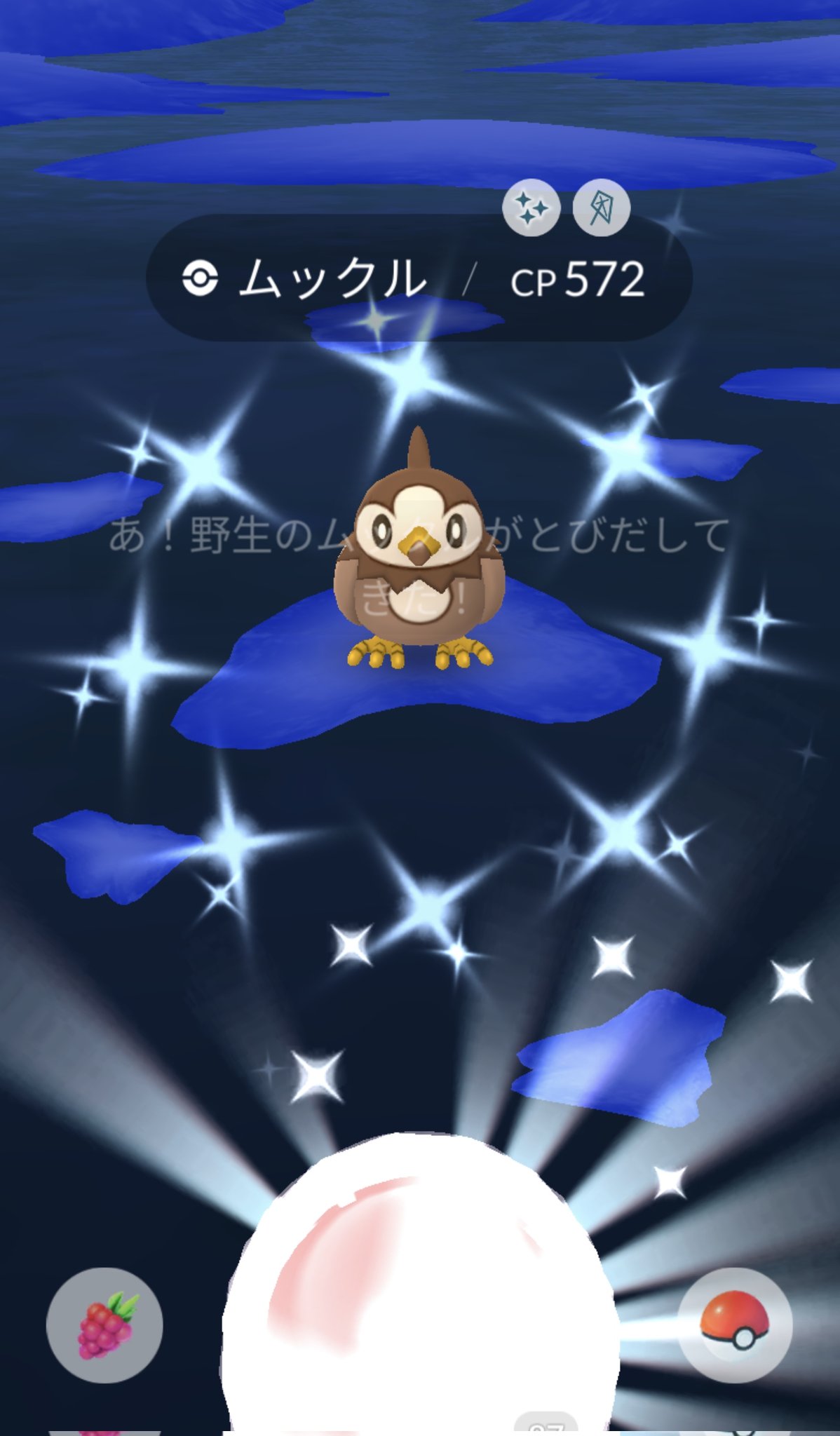 ポケモンgo石川 Taka Go Twitter