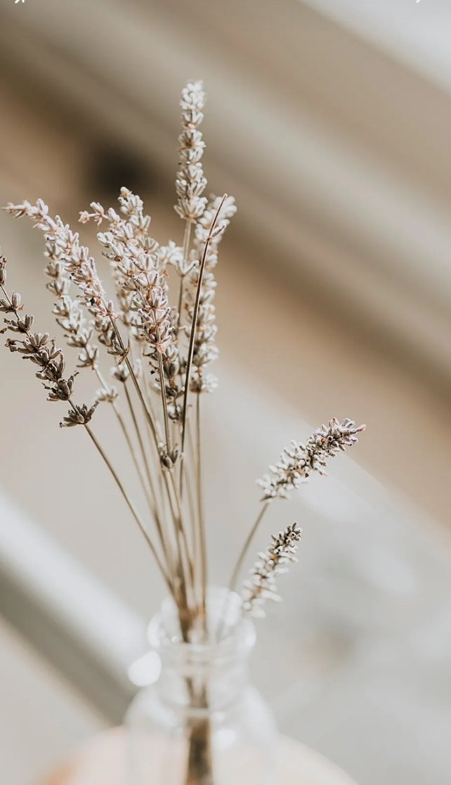 ليس هناك ذكي أو غبي 
الفرق فقط في طريقه استخدام
عقلك وقدراتك في كل شيئ