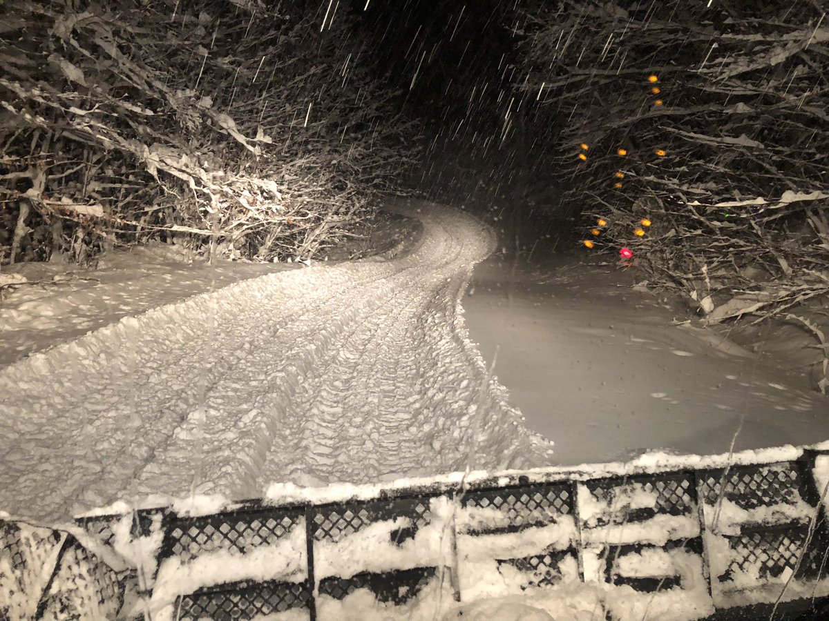 Magic Mountain tweet media