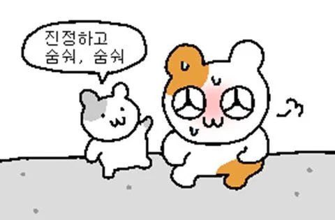 kimrhdud's tweet photo. 진정좀하고 감상할게요💓 https://t.co/8EZiDtQpE4