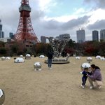 ツイートに含まれる画像