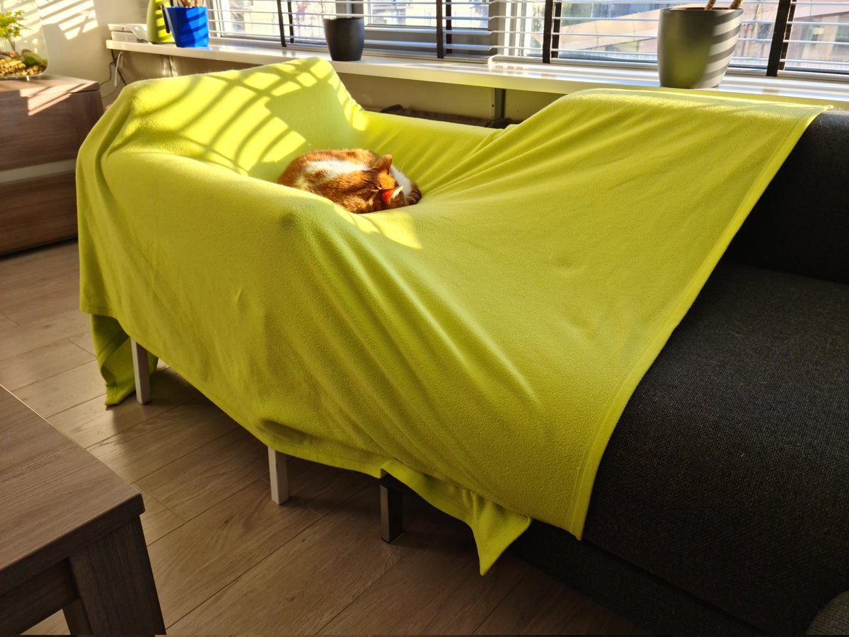 So i build him a little tent, but Sam had other plans. Cats will be cats, i guess 😸😸😼😼