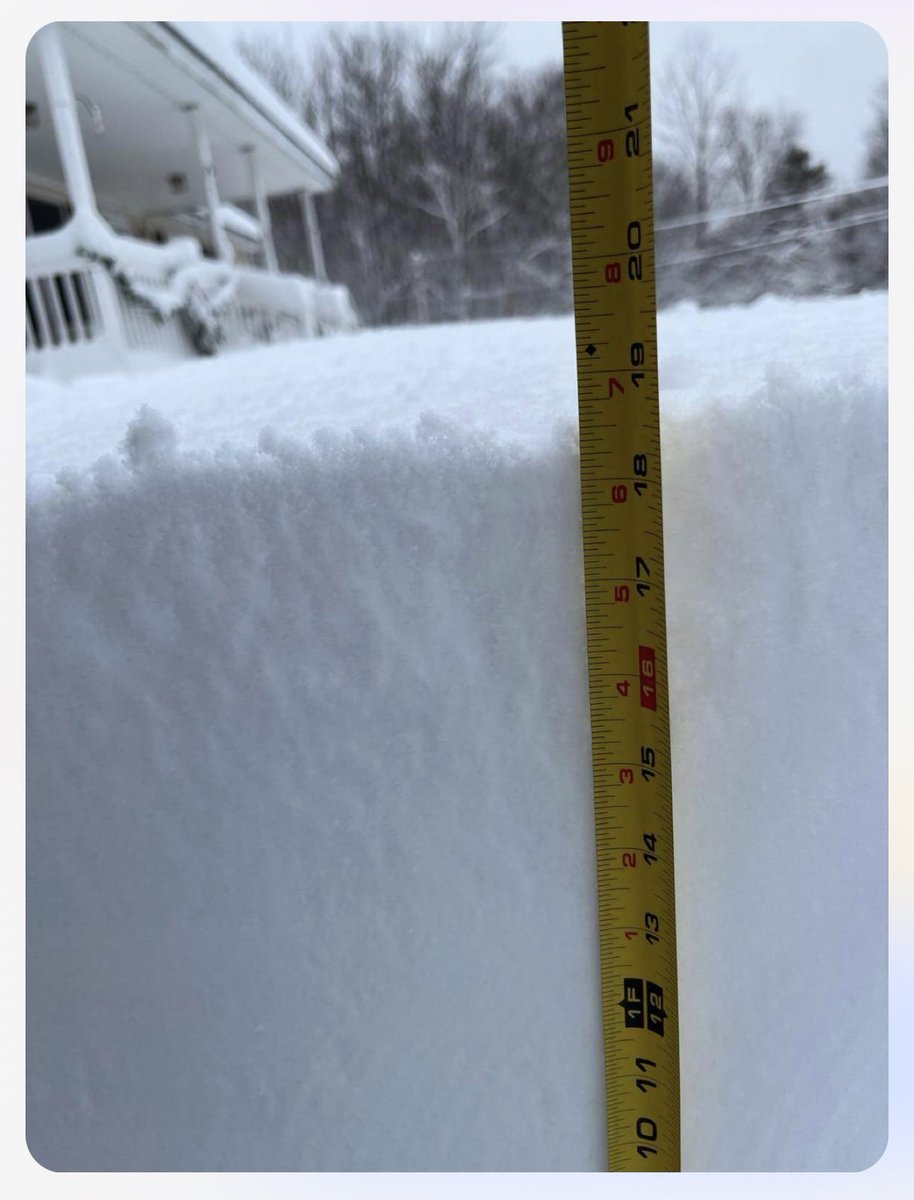 Chris Neuman tweet media