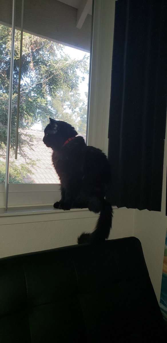 ThaArsonist tweet media