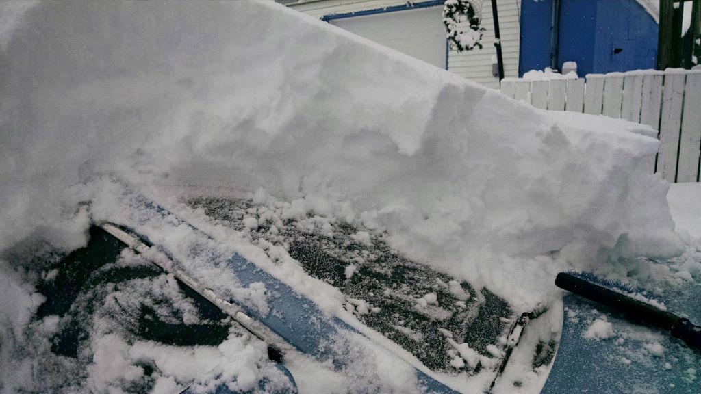 While excavating a glacier, I found this Ice Age relic of unknown purpose. We believe Neanderthal hunters may have used it as a food cache, or possibly a musical instrument.