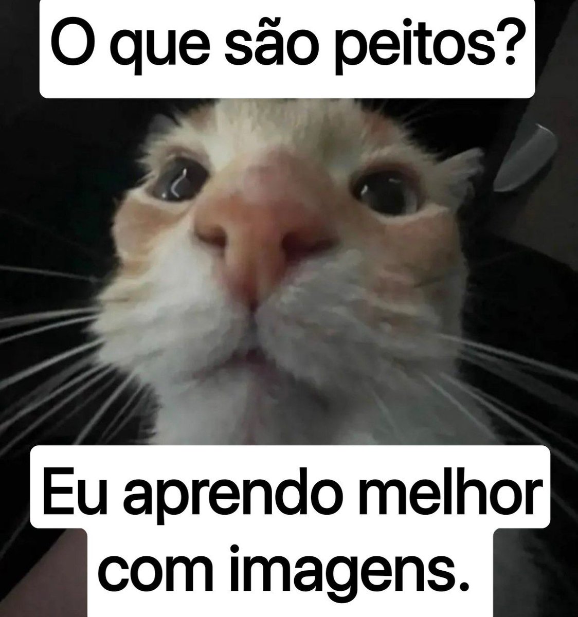 MrCartoonizando tweet picture