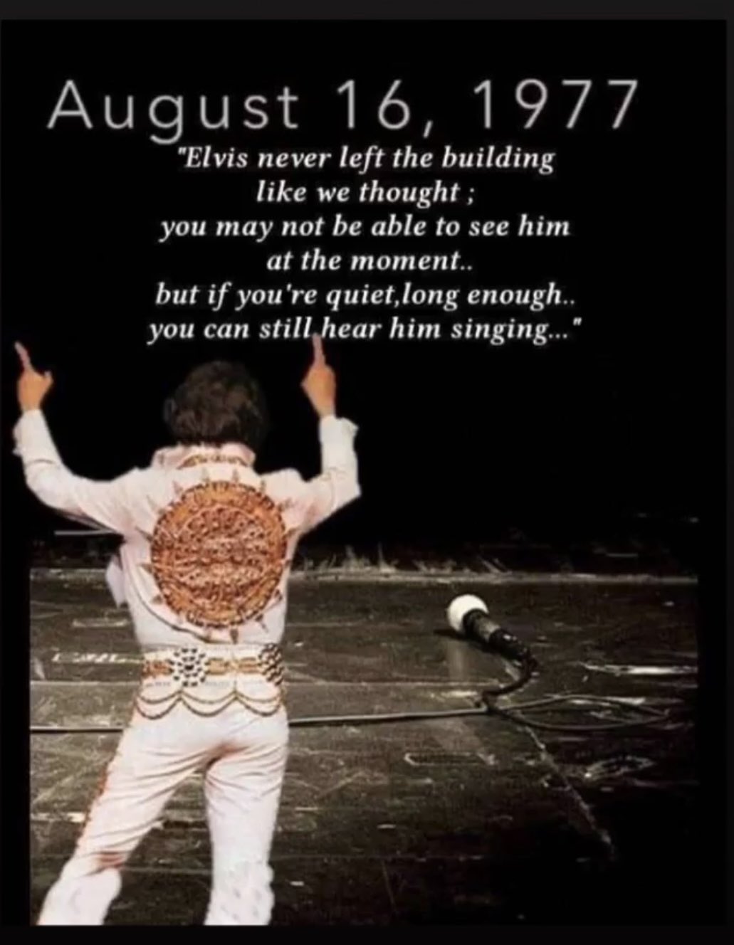 Lynette Rizzo/saw Elvis x 19 on Twitter: 