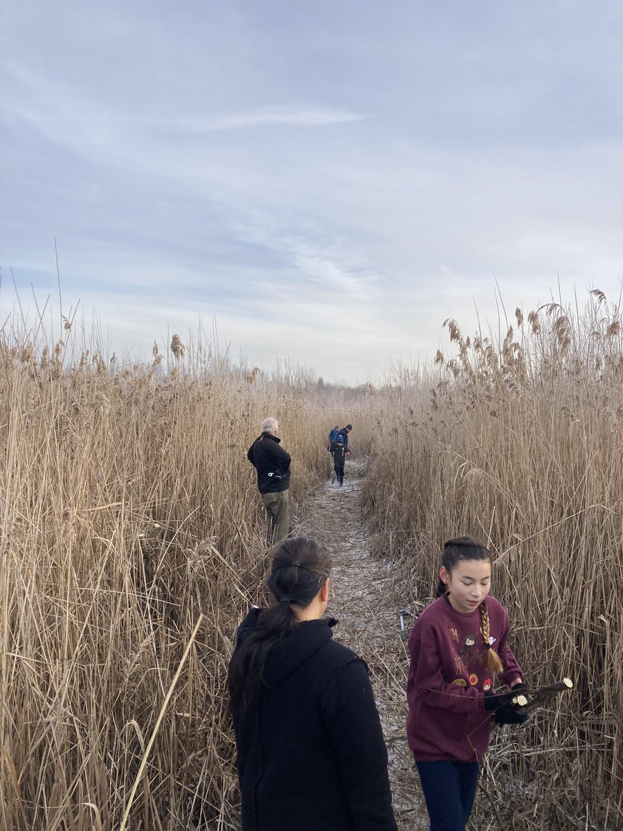 TicesMeadow's tweet photo. A huge festive thank you to the 32 volunteers who turned out for our work party today. We managed to cut and burn a huge amount of willow!

Thanks to Lord Len for again running the logistics. And to Andy &amp; Sharon for the lovely baked potatoes and home made mince pies. https://t.co/llxnMKNURV